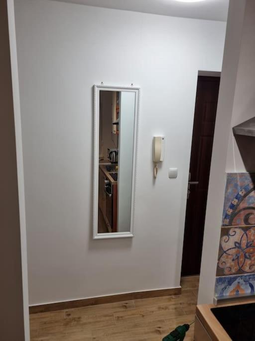 Studio Apartman Bojana 34M2,Free Wifi,Parking سيساك المظهر الخارجي الصورة