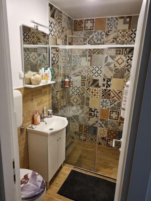 Studio Apartman Bojana 34M2,Free Wifi,Parking سيساك المظهر الخارجي الصورة
